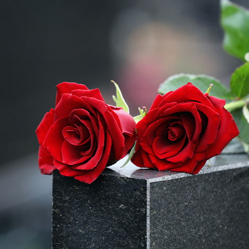 Arbejdsmiljøpuljen hjælper Begravelses Service til et højt serviceniveau og et arbejdsmiljø i topklasse