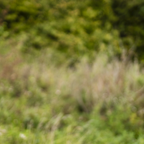 Peter Weichel Carlsen - Erhvervspsykolog