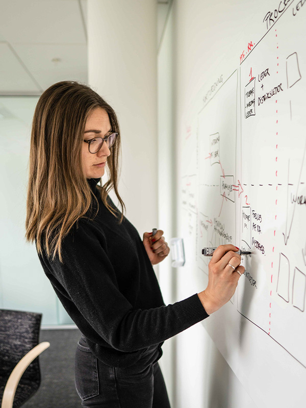 Udarbejdelse af audit