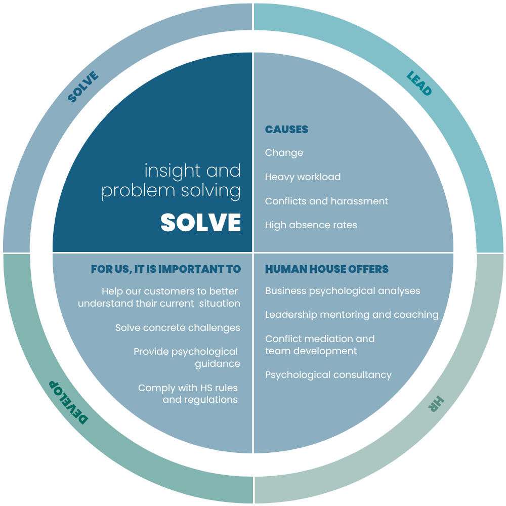 Solve-illustration-Human-House-English-jun26-1000x1000-1 Illustration on insight and problem solving in Human House